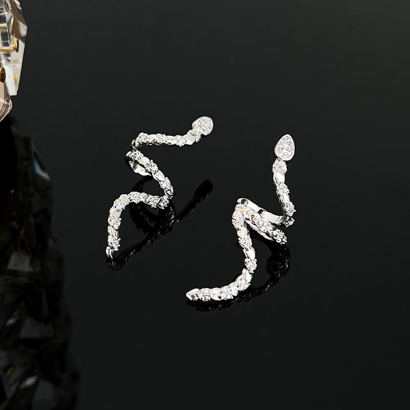 

Персонализированные серьги-змеи, легкая роскошь, нишевые, высококлассные серьги-пусеты, уникальный темперамент, холодный ветер, новые серьги