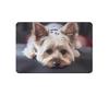 VIKAMA Crystal Pile Carpet Cute Cartoon Animals Entrance Bathroom Kitchen Dirty Resistant Slip Resistant Washable Foot Mat Rug
