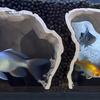 Angle de Vue Aquarium Grotte Imprimée en 3D Cachette pour Poissons Tunnel Naturel Décoration pour Pleco Endroit où se Cacher pour Loche et Poisson-Chat sous le Gravier pour Cichlidé Clown