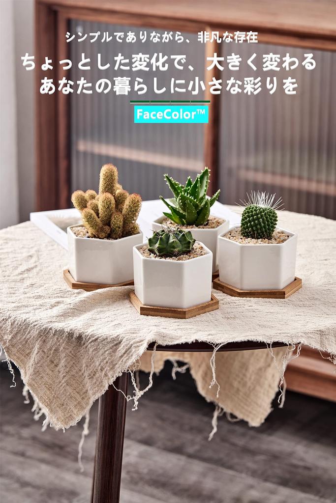 FaceColor Sukulent Ceramiczny Kaktus Sześciokątny z Podstawką Ociekową Biały Odpowiedni do Ogrodu Żywego Zestaw 4 szt. Nie Doniczka, Doniczka, Sadzarka, Doniczka, (Rozmiar 9106 CM),