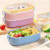 Dual-Layer Stainless Steel Lunch Box, Microwaveable, Large Capacity for Adults, Cute Design