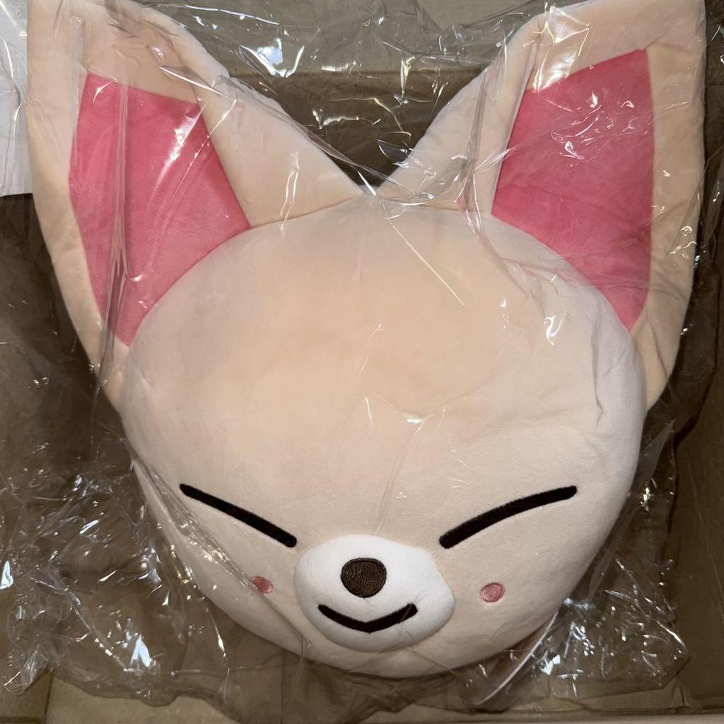 [USED] straykids Ien cushion