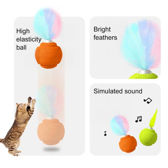 Cat Toy with Sound Feature Cats Bouncy Exercise Ball Interactive Ball Toy with Feathers for Cats Stress Relief Fun Activity Indoor Outdoor Use
