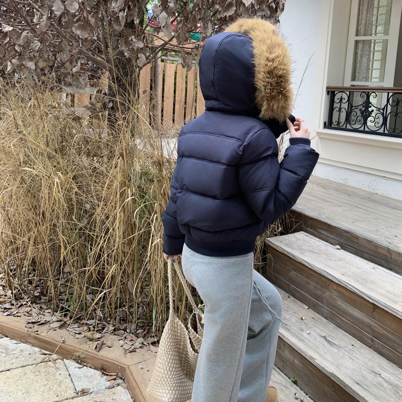 Winter versatile navy blue hooded fur collar short cotton-padded jacket women's new warm thickened down cotton-padded jacket