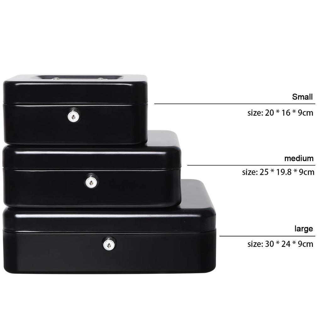 Lysmics Metal Portable Safe with Key Lock, Coin Case, and Banknote Organizer (Black, Large)