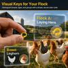 100Pcs Plastic Chicken Ankle Rings Yellow Poultry Feet Rings Geese Leg Rings  For Breeding Ducks