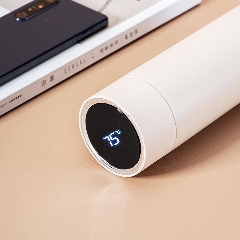 Debo Smart 316 Stainless Steel Insulated Tea Bottle