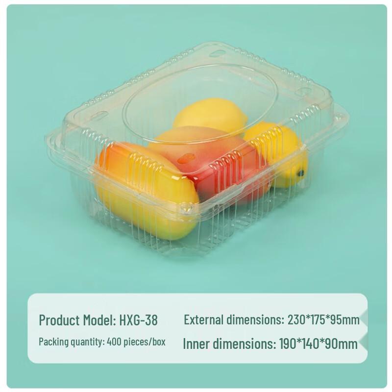 Shengbilai Disposable Food Storage & Takeaway Boxes