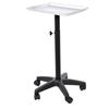 Aluminium Hair Salon Instrument Tray Adjustable Height Trolley Beauty Tools no Cup Silver