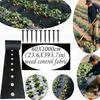 Tessuto Barriera Anti-Erbe Infestanti Perforato Resistente Ideale per Giardino, Orto, Frutteto e Cortile - Sopprime le Erbacce, Traspirante, Permeabile all'Acqua