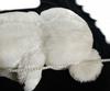 [USED] Precious Teddy Bear Stuffed Animal White