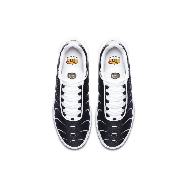 Nike Air Max Plus White Black Metallic Pewter CT1094-102