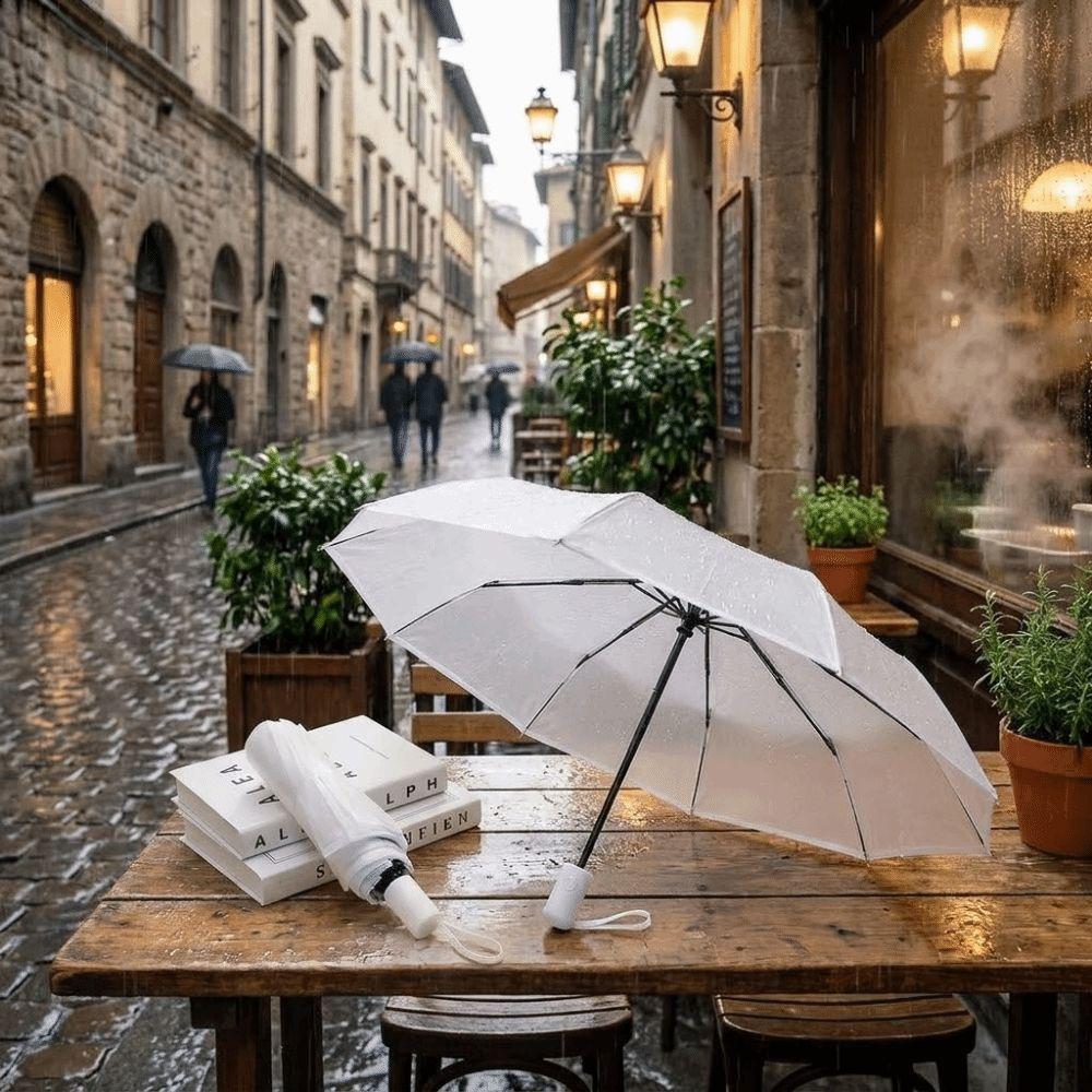 Eco-friendly Folding Umbrella Waterproof Sunny Umbrella Automatic Umbrella  Daily Commute