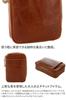 Fons Cigarette Case Brown [Dakota] DA-35922-40