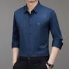 Men Long Sleeve Turn Down Collar Business Casual Wrinkle Free Shirt