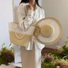 Summer new straw bag large capacity beach vacation bag woven tote women's bag