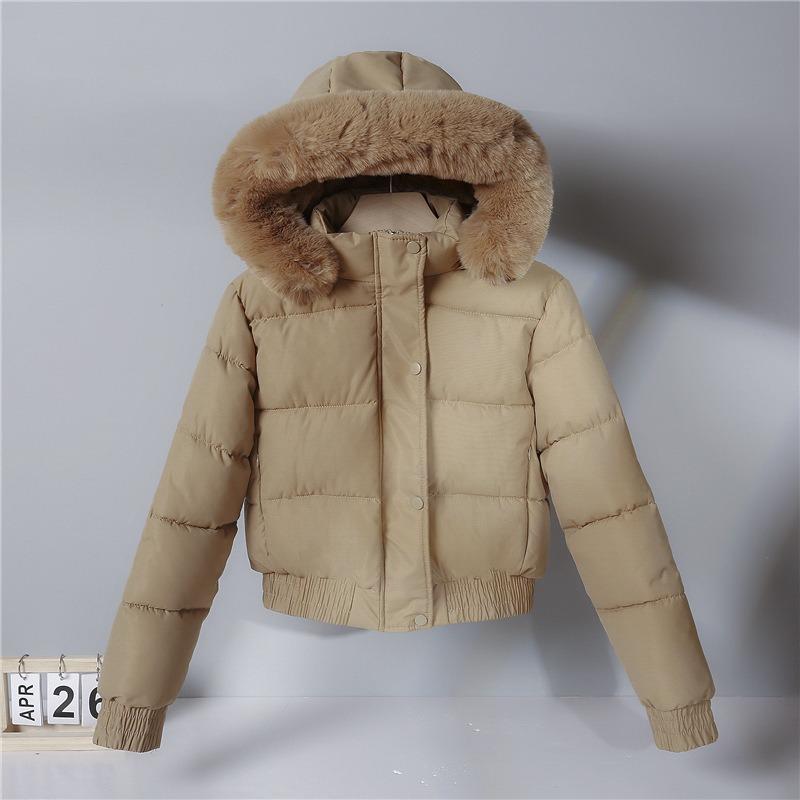 New Down Padded Clothes Women's Winter Short Thickened Padded Clothes Loose Hooded Small Padded Jackets Tide