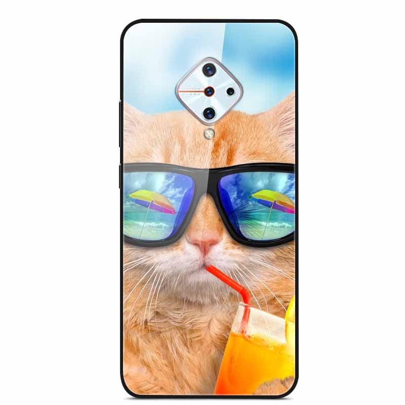 Tempered Glass Case For Vivo V17 Case Russia Glass Back Cover Soft Bumper For Vivo V17 Phone Cases V 17 Funda Y9s S1 Pro Coque