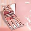 5 ks Pouzdro se zrcátkem Sada štětců na make-up Multifunkční štětec na sypký pudr Štětec na tvářenku Mini malý zrcátkový štětec na make-up