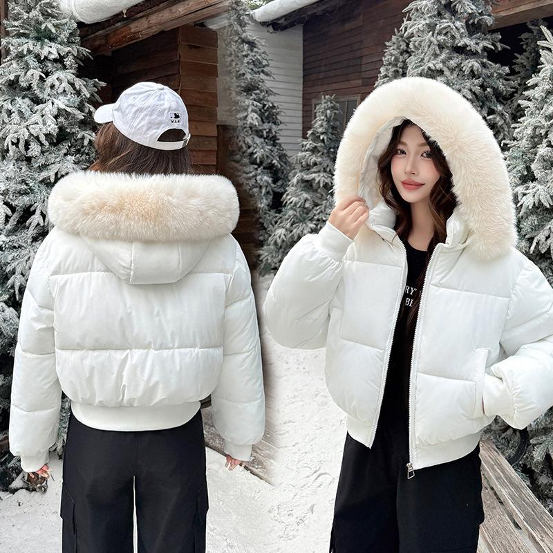 Winter new fashionable versatile hooded cotton-padded clothes short big fur collar thickened loose small student bread clothes women