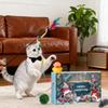 Cat Advent Calendar Interactive Cat Toys Plush Mouse Assorted Balls Wand Set