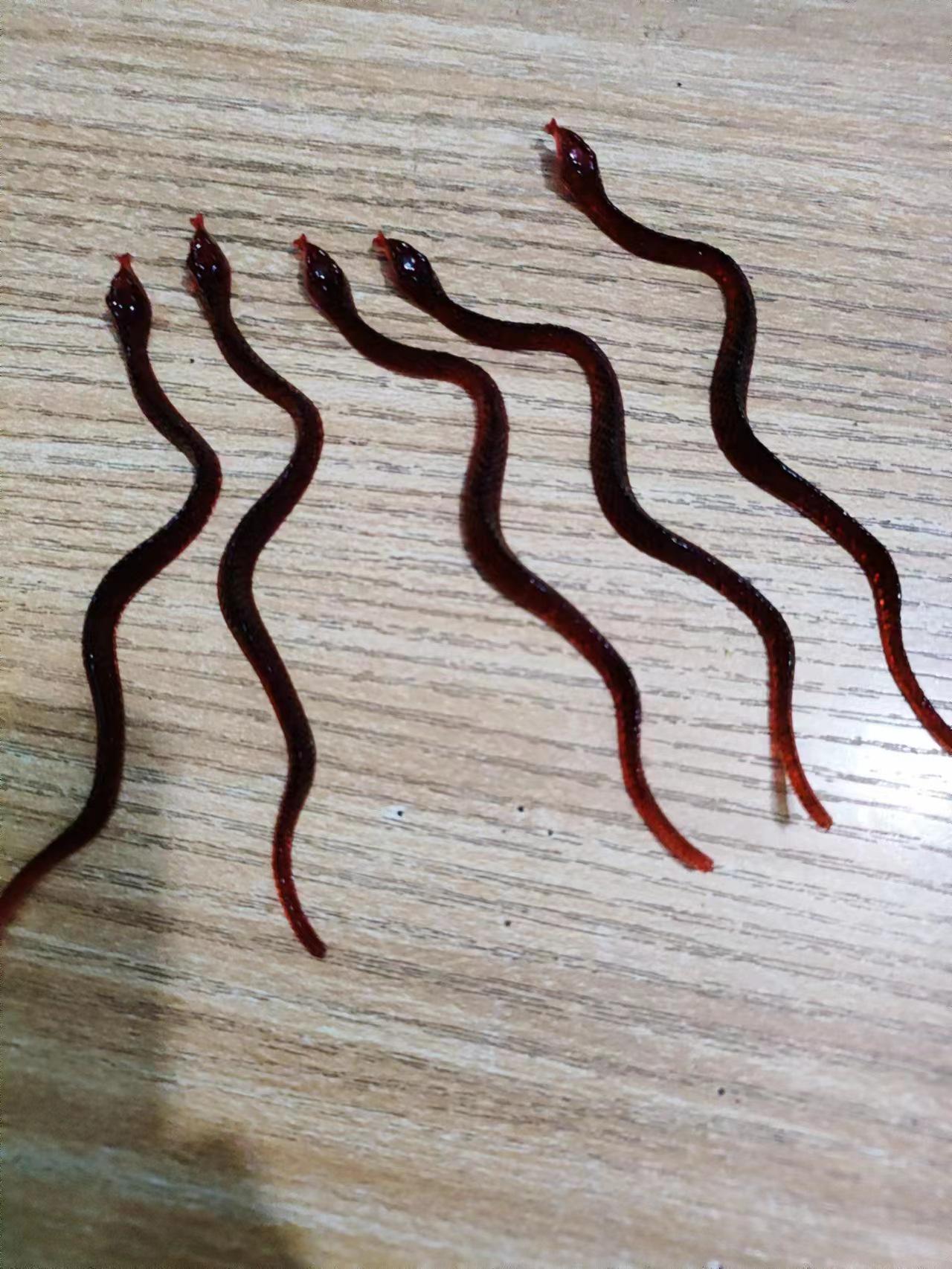 Страшная имитация таракана и рептилии - розыгрышная игрушка для Хэллоуина и Дня смеха