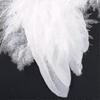 10 Pieces Mini White Feather Wings for Crafts and Decorations