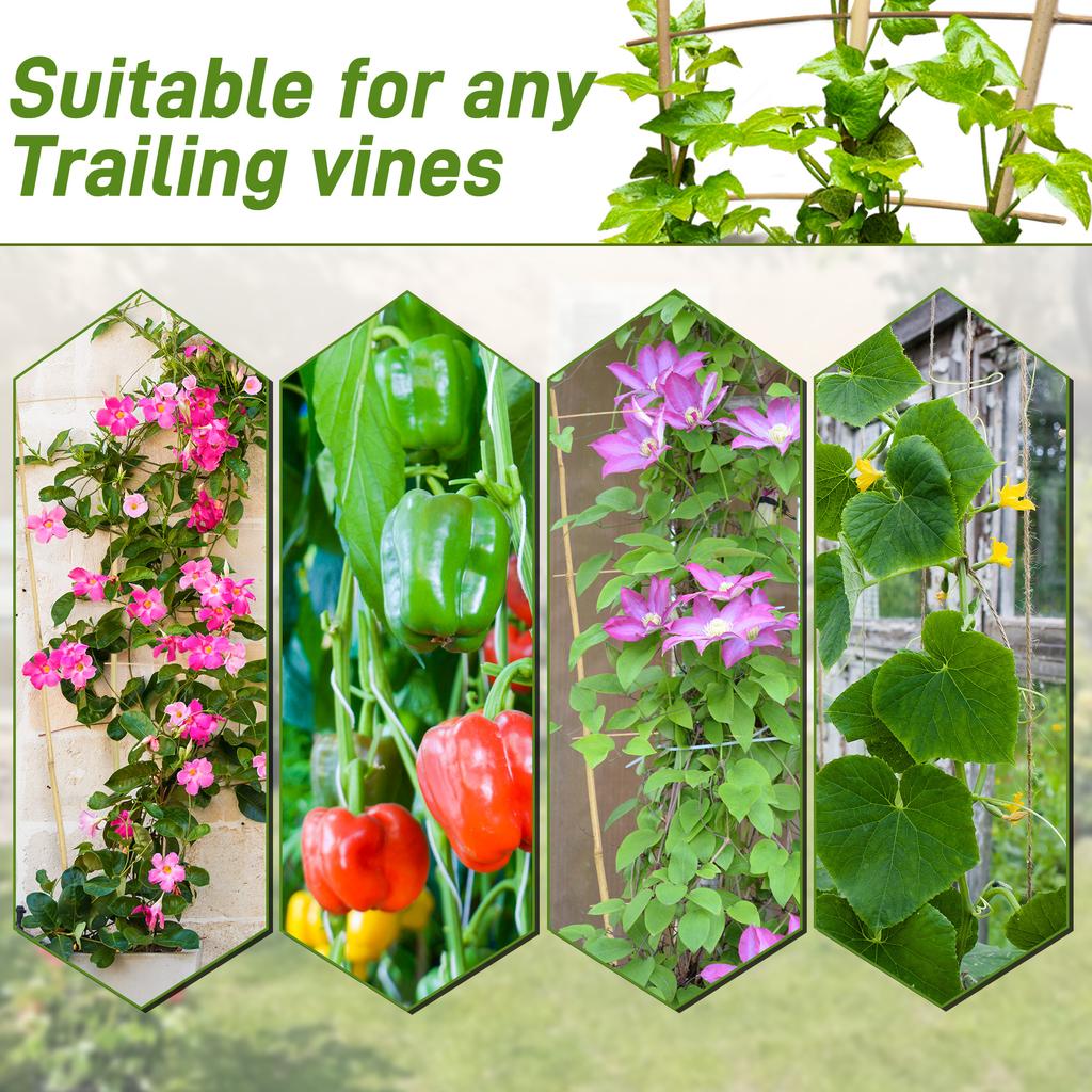 10pcs 3FT Bamboo Trellis For Climbing Plants,Fan-Shaped Plant Support Trellis For Houseplants Ivy Hoya Vine Monstera