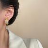 Light and Smart Three-dimensional Flower Zircon Stud Earrings, Super Flash Earrings, Elegant Temperament, Gorgeous and Exquisite Earrings.