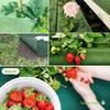 Double Layer Perforated Grass Proof Cloth Biodegradable Weed Control Ground Cover  Courtyards