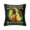 Italian Brainrot Cappuccino Assassino Throw Pillow Case Home Decorative Cushions Cover For Sofa Car Square Polyester Pillowcase