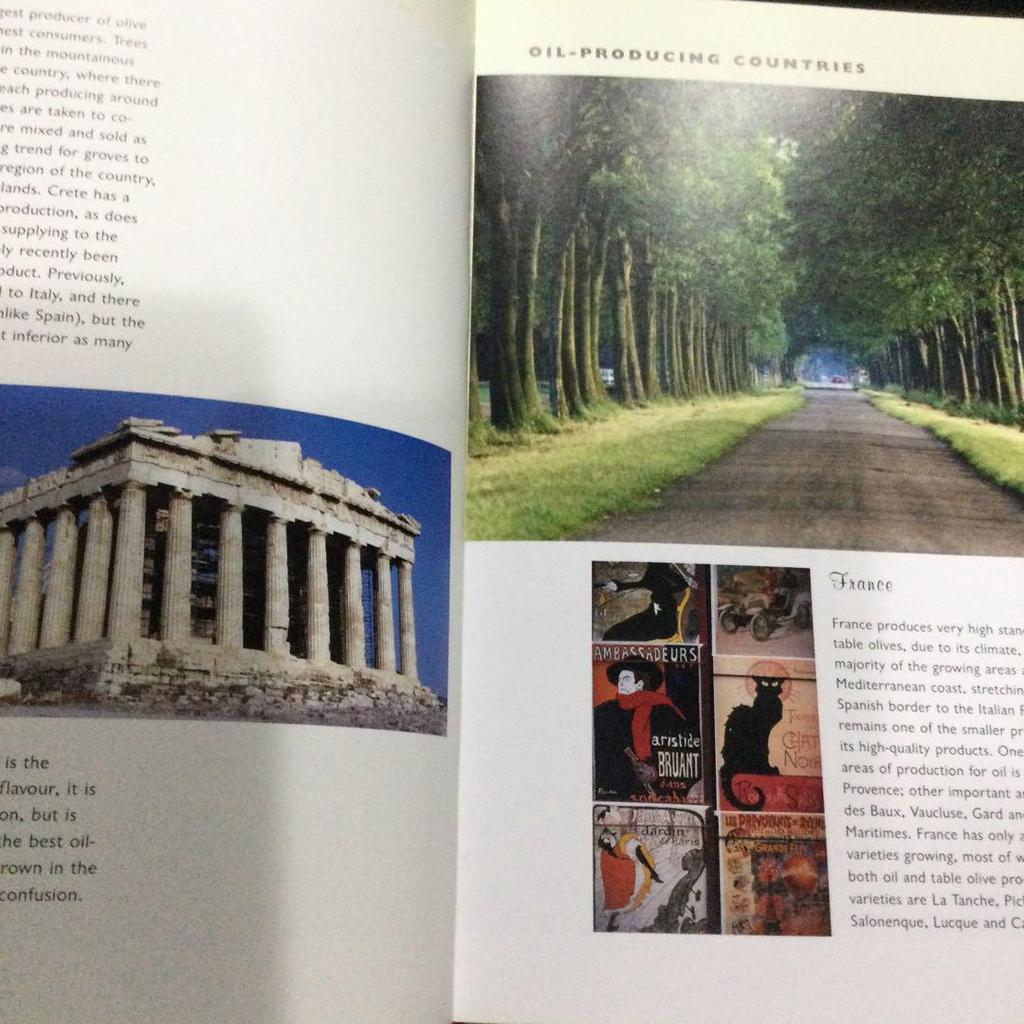 [USED] Olive Oil Western Books Recipe Cooking Olive Oil Recipe Cooking