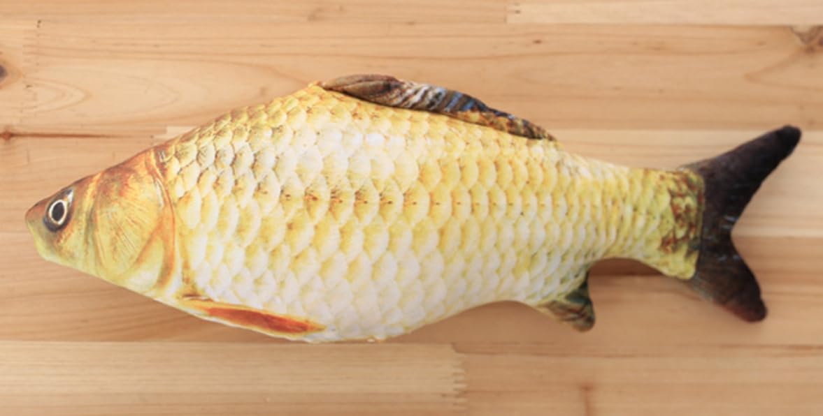 

[dokidoki] Carp Fish Cushion Plush Toy, Cute, Fun, Event, Party, Halloween Gift, Cute, Moe, Instagram (Carp)