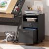 Office Cabinet Mobile Pedestal, 2 Drawers, One Drawer Lockable, 5 Casters, Black, 40 x 40 x 65 cm