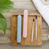 Compact Wheat Straw Travel Toothbrush Holder & Toiletries Storage Box