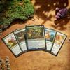 MTG Bloomburrow Starter Kit-1 Card Game