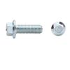8.8 Grade Galvanized Carbon Steel Hex Flange Bolts with Washer