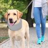 Pet Recovery Collar Adjustable Dog Anti Licking Collar Prevent Pets From Touching Stitches Wound Care Anti-Lick Shield Anti-Bite