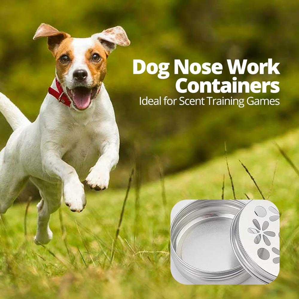 3 PCS Hollow Out Nosework Containers Aluminum Cans Metal Container Dog Scent Training Kit Dog Nose