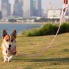 Pet Supplies Adjustable Dog Leash Wear-resistant Explosion-proof Dog Walking Rope Nylon Heavy Duty Puppy Training Rope Garden