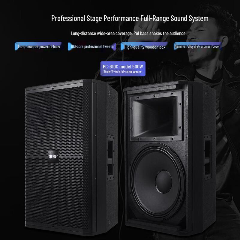 Weishu PC-610 Professional 10-inch Full-Range Audio System Set