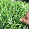 10/20/30/50Pcs Top Green Painted U-shaped Ground Nails Ground Film Fixer Garden Lawn Artificial Turf Tent Stakes Securing Pegs