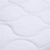 FUANNA Soft Warm Core Quilt