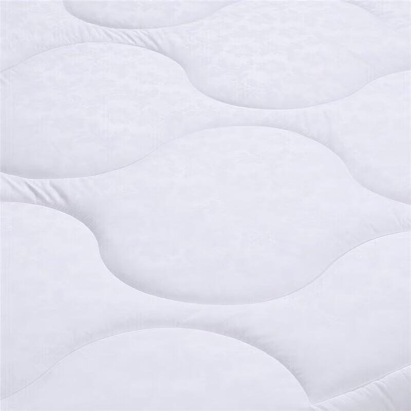 FUANNA Soft Warm Core Quilt