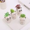 Ceramic Grass Pots Decorative Creative Mini Cat Shaped Flower