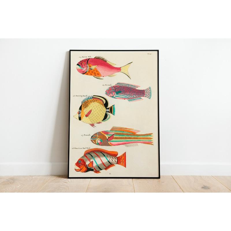 3pc Vintage Tropical Fish Canvas Wall Art Antique Nautical Illustration Printing for Eclectic Home Decor,Ideal Ocean Lover Gifts