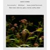 NONFICTION Mini Zestaw Kremów do Rąk – Nawilżająca i Perfumowana Pielęgnacja Podróżna, Koreański