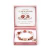Birth Flower Bracelet Gift Box Beaded Stretch Bracelet Jewelry with Floral Centerpiece for Sentimental Birthday Giving