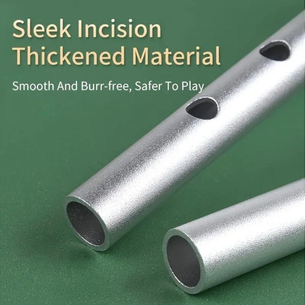 Rich Tone Irish Whistle Flute 6 Holes Irish Tin Whistle Musical Instruments  for Beginners