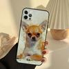 Funda de Teléfono de Perro Chihuahua Para iPhone 14 16 15 11 12 13 17 Pro Max 13 mini 15 16 Plus 16e 17 Air Cover Funda